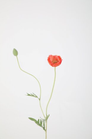 Poppy 61cm Poppy 61cm