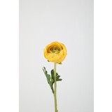 Ranunculus Stem 35cm – yellow
