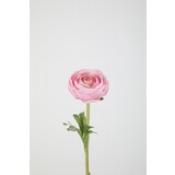 Ranunculus Stem 35cm – Pink