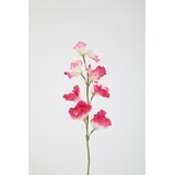 Sweetpea Stem 56cm – Beige Sweetpea Stem 56cm – Beige