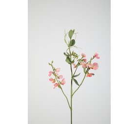 Sweetpea Spray 78cm - Pink Sweetpea Spray 78cm - Pink