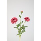 Ranunculus Spray 66cm – Pink Ranunculus Spray 66cm – Pink