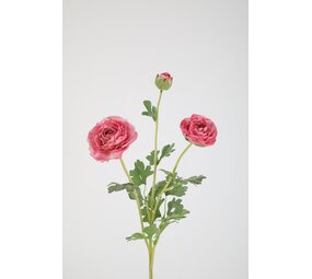 Ranunculus Spray 66cm – Pink Ranunculus Spray 66cm – Pink