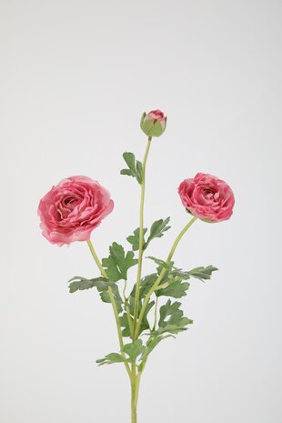 Ranunculus Spray 66cm – Pink Ranunculus Spray 66cm – Pink