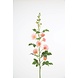 Hollyhock Spray 155cm Hollyhock Spray 155cm