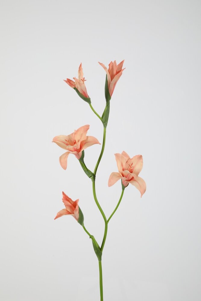Gladiolus Spray 92cm