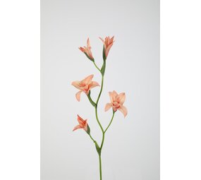 Gladiolus Spray 92cm Gladiolus Spray 92cm