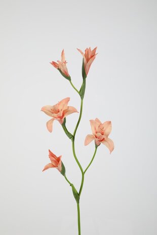 Gladiolus Spray 92cm