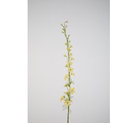 Larkspur yellow - 93cm Larkspur yellow - 93cm