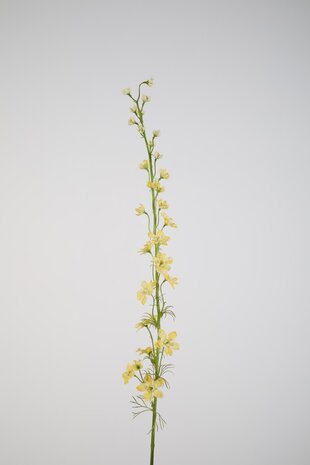Larkspur yellow - 93cm Larkspur yellow - 93cm
