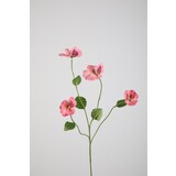 Pansy Spray W/4 flrs 67cm Pansy Spray W/4 flrs 67cm