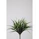 Grass Bush 35cm Grass Bush 35cm