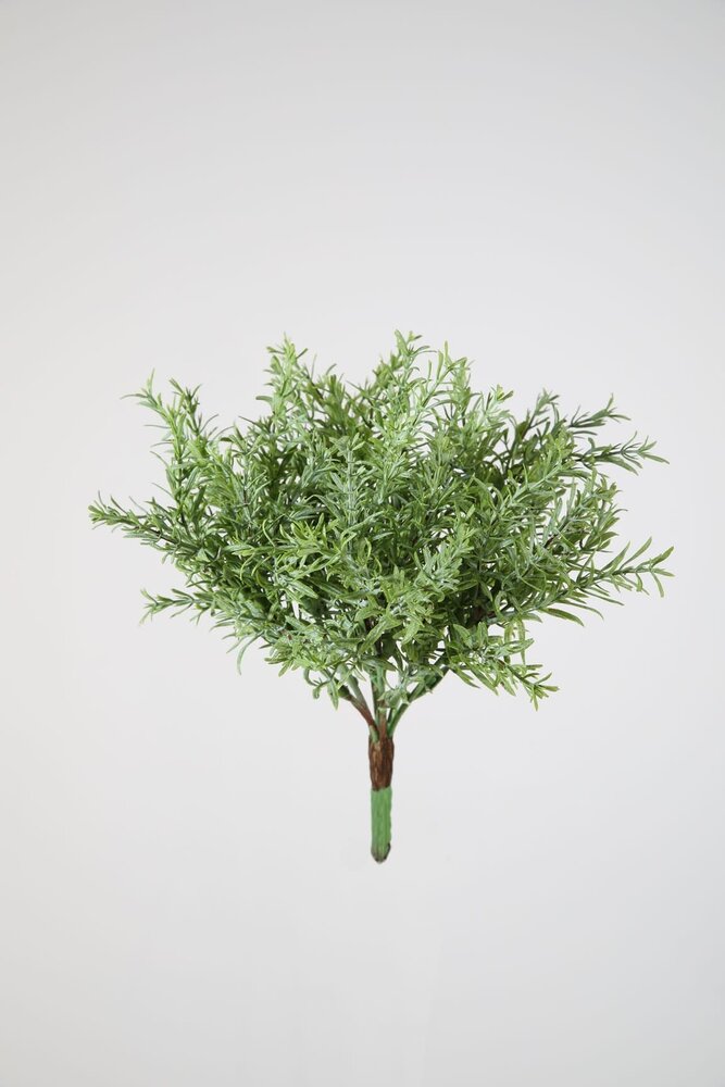 Vanilla Bush 25 cm Vanilla Bush 25 cm