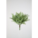 Vanilla Bush 25 cm Vanilla Bush 25 cm