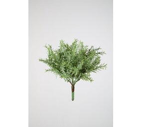 Vanilla Bush 25 cm Vanilla Bush 25 cm