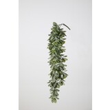Hanging Round Leaves 75cm Hanging Round Leaves 75cm