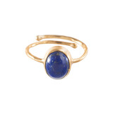 A Beautiful Story Visionary Lapis Lazuli Ring GP
