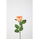 French Rose Stem - zachtroze 56cm French Rose Stem - zachtroze 56cm