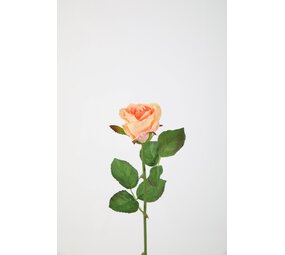 French Rose Stem - zachtroze 56cm French Rose Stem - zachtroze 56cm