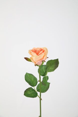French Rose Stem - zachtroze 56cm French Rose Stem - zachtroze 56cm