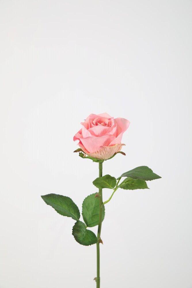 French Rose Stem  - roze 56cm French Rose Stem  - roze 56cm