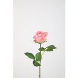 French Rose Stem  - roze 56cm French Rose Stem  - roze 56cm