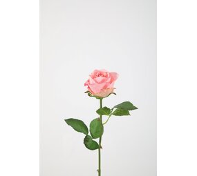 French Rose Stem  - roze 56cm French Rose Stem  - roze 56cm
