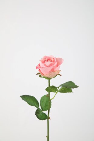 French Rose Stem  - roze 56cm French Rose Stem  - roze 56cm