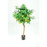 Lemon Tree - 120cm Lemon Tree - 120cm