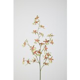 Dancing Orchid - 94cm Dancing Orchid - 94cm