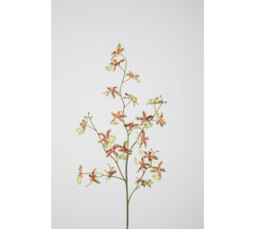 Dancing Orchid - 94cm Dancing Orchid - 94cm