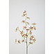 Dancing Orchid - 94cm Dancing Orchid - 94cm