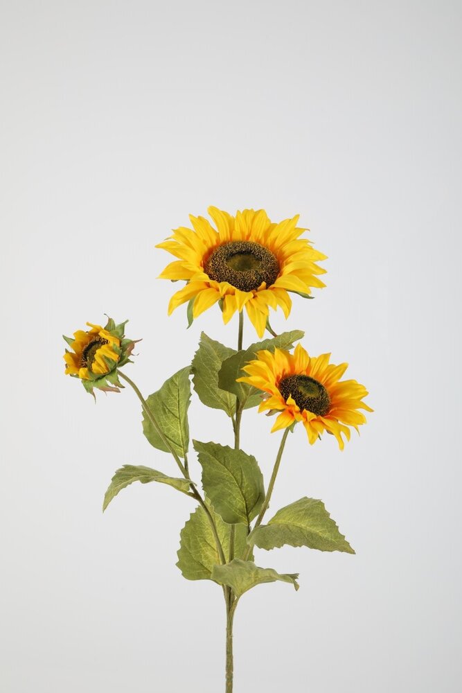 Sunflower x3 89cm Sunflower x3 89cm