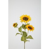 Sunflower x3 89cm Sunflower x3 89cm