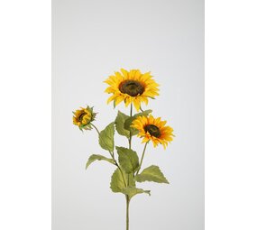Sunflower x3 89cm Sunflower x3 89cm