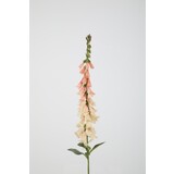 Foxglove Stem - zachtroze 89cm Foxglove Stem - zachtroze 89cm
