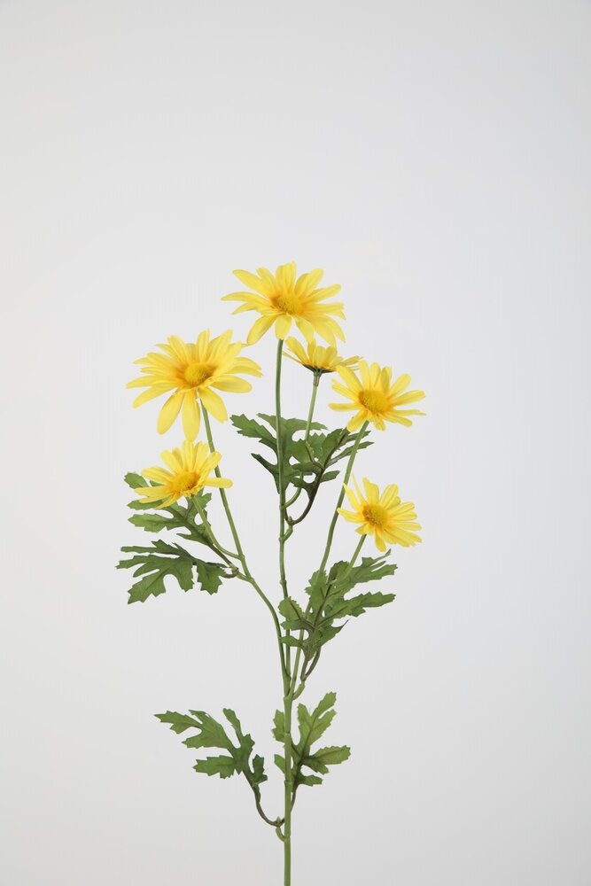 Daisy Spray  - 70cm Daisy Spray  - 70cm