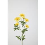 Daisy Spray  - 70cm Daisy Spray  - 70cm