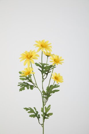 Daisy Spray  - 70cm Daisy Spray  - 70cm