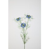 Nigella Flower Stem - 62cm Nigella Flower Stem - 62cm