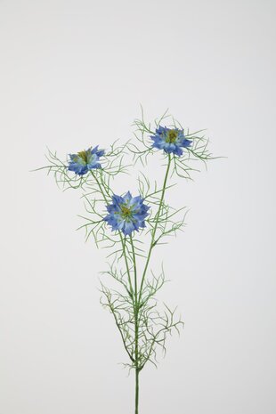 Nigella Flower Stem - 62cm Nigella Flower Stem - 62cm