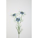 Nigella Flower Stem - 62cm Nigella Flower Stem - 62cm