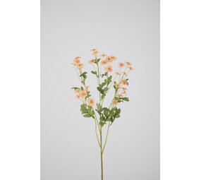 Daisy Spray - 66cm Daisy Spray - 66cm