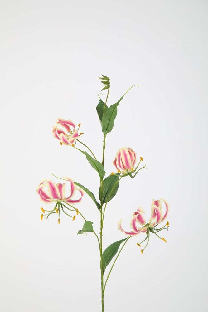 Gloriosa Spray - 86cm Gloriosa Spray - 86cm