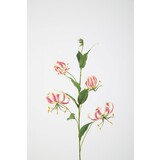 Gloriosa Spray - 86cm Gloriosa Spray - 86cm