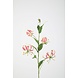 Gloriosa Spray - 86cm Gloriosa Spray - 86cm