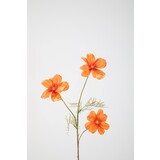 Cosmos Spray - 81cm Cosmos Spray - 81cm