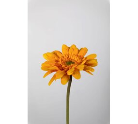 Gerbera Stem yellow - 55 x 10cm Gerbera Stem yellow - 55 x 10cm
