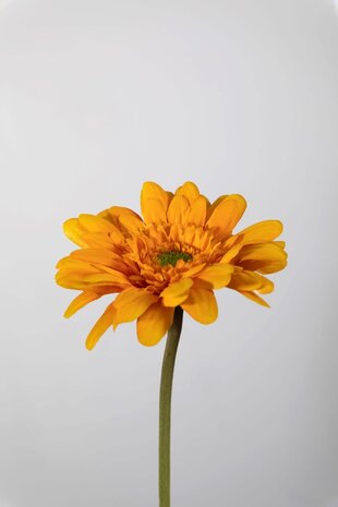 Gerbera Stem yellow - 55 x 10cm Gerbera Stem yellow - 55 x 10cm