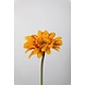 Gerbera Stem yellow - 55 x 10cm Gerbera Stem yellow - 55 x 10cm